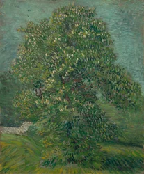 Rosskastanienbaum in Blüte